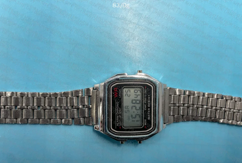 Casio Watch 2