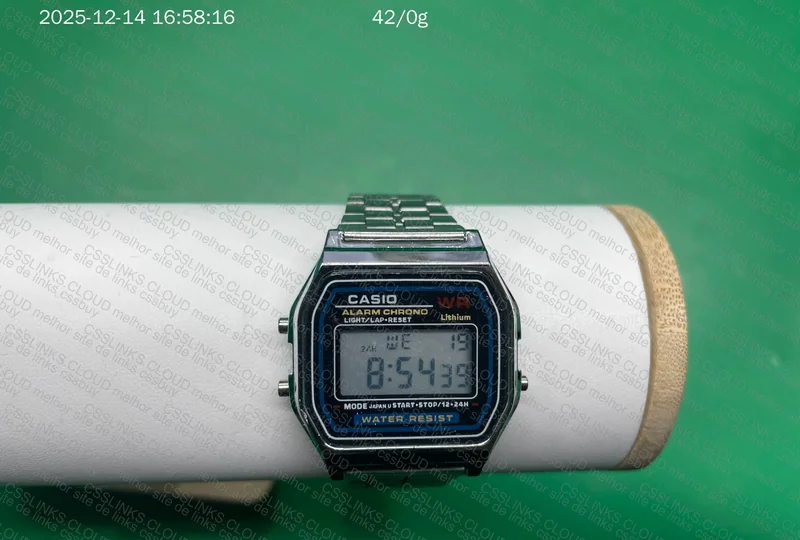 Casio Watch 2