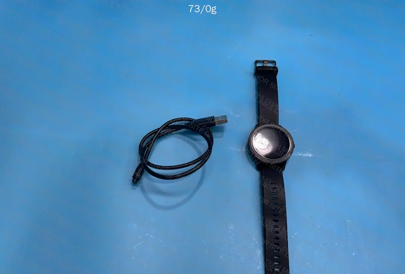 Garming VivoActive3 Watch