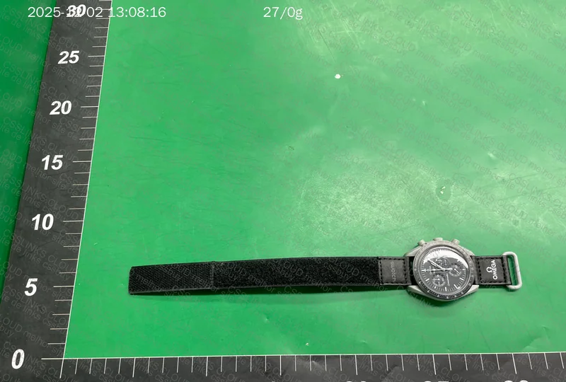 Moonswatch Watch 2