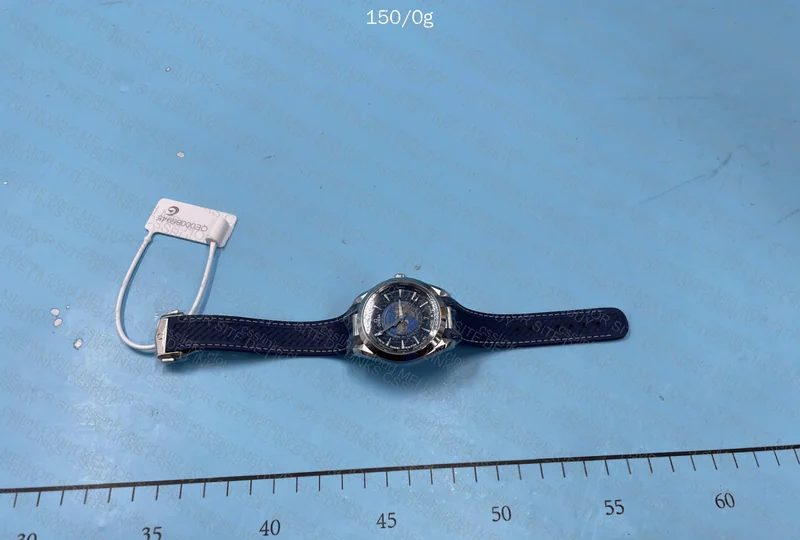 Omega Aquaterra Worldtimer Watch