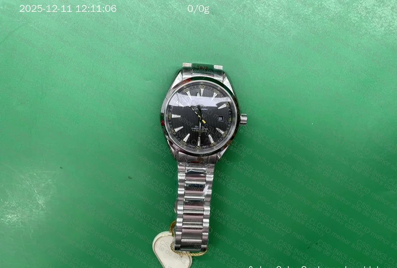 Omega Seamaster Watch 2