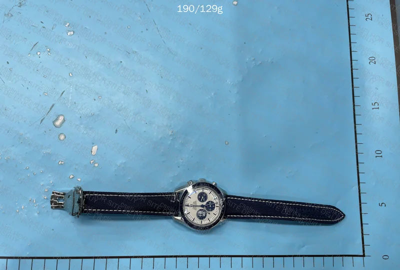 Omega SpeedMaster Snoop Watch 2