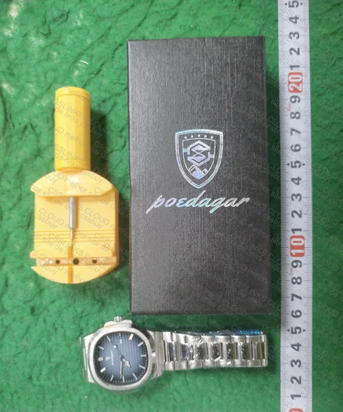 Poedagar Watch (Patek Philippe Standard) 3