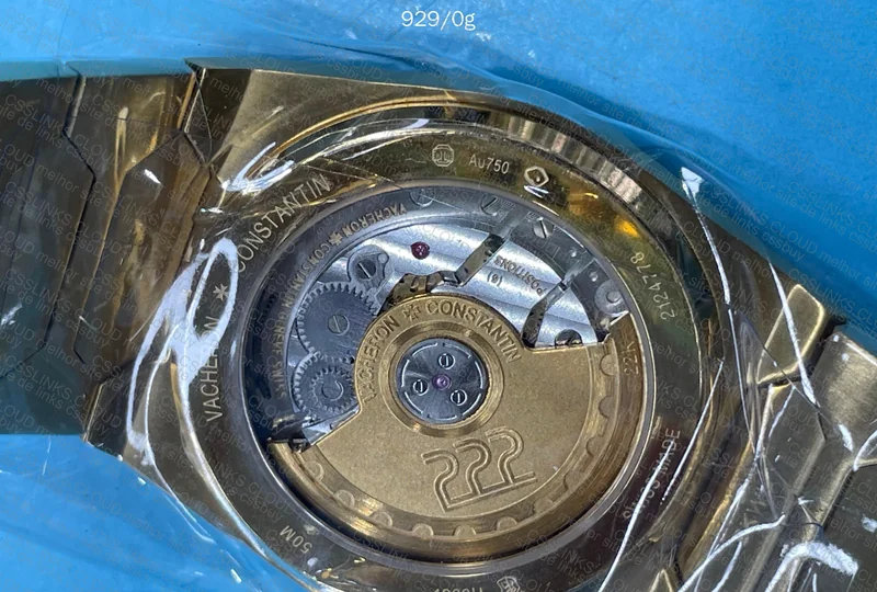 Vacheron Constantin Watch 4