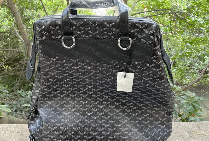 (Repost with Natural Light) Goyard Backpack 5