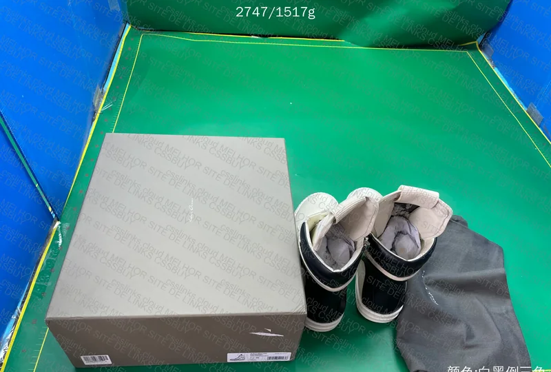 RICK OWENS GEOBASKETS WHITE 2