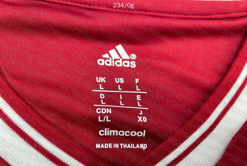 Robben Jersey - 2013 Final 5