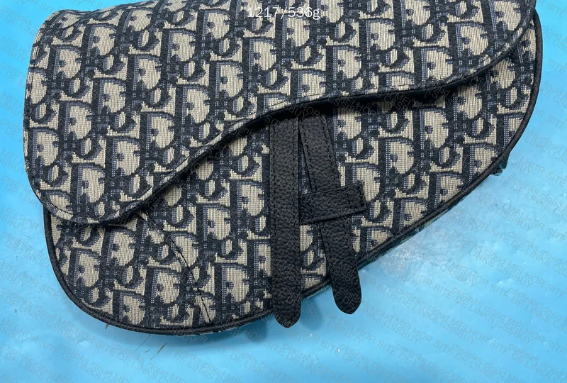 Saddle Bag Dior 2