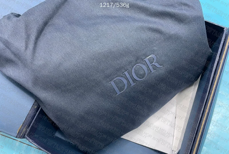 Saddle Bag Dior 6
