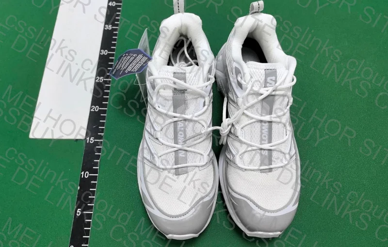 Salomon xt6 3
