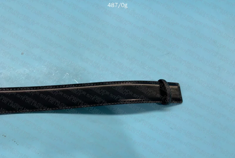 Salvadore Ferragamo - Ambassador Belt 2