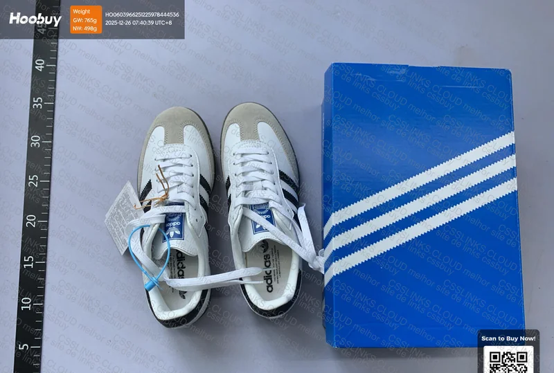 Samba GL or RL?
