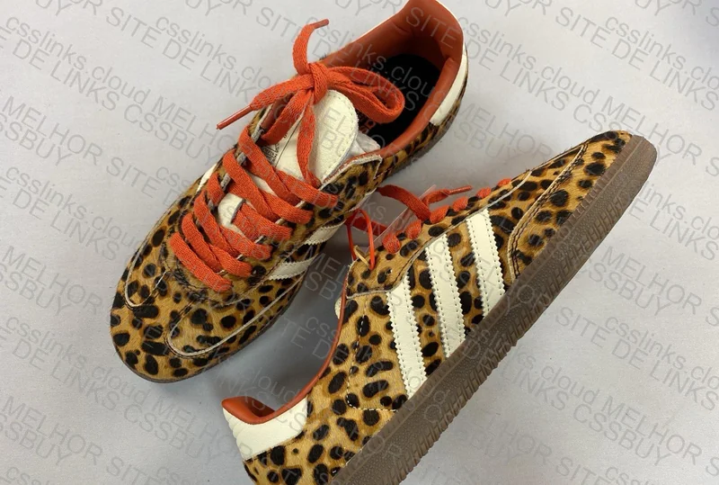 Samba for Girl 2