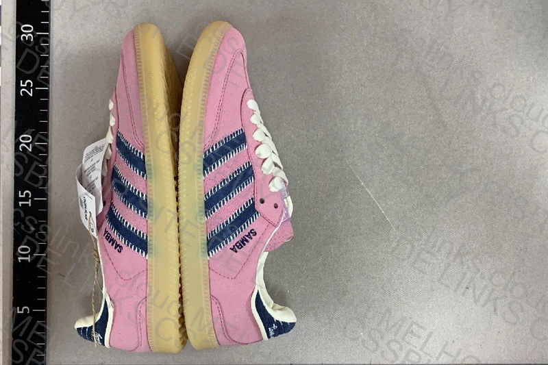 Pink Samba for Girlfriend 2