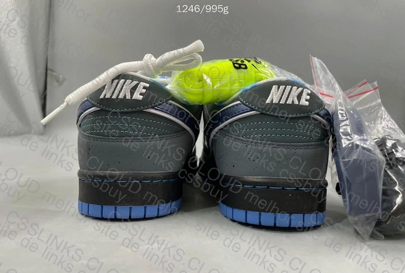Sb Dunk blue lobster 6