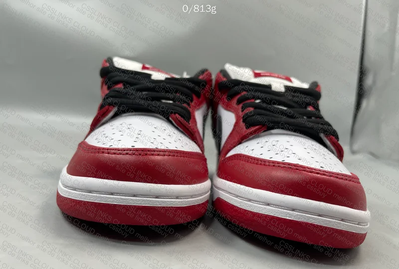 SB Dunk Chicago M 3