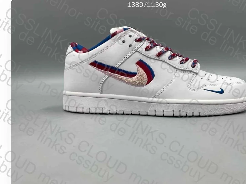 SB Dunk Parra 3