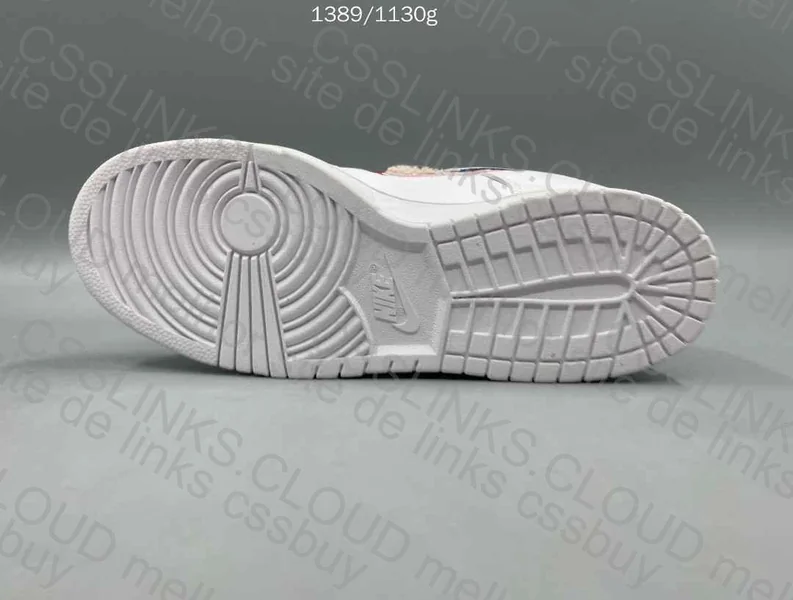 SB Dunk Parra 5