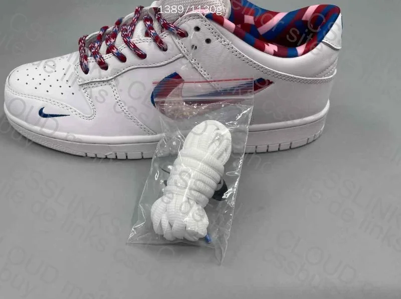 SB Dunk Parra 6
