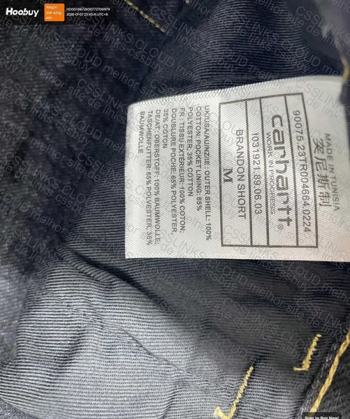 Short carhartt Brandon short 3