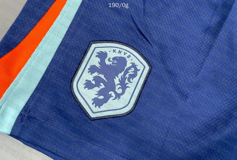 Holland Shorts 3