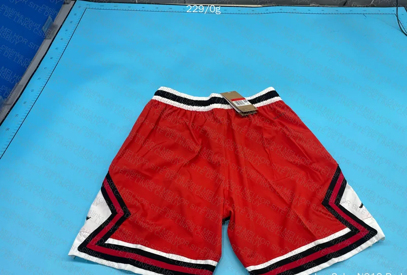 Short Jordan 6