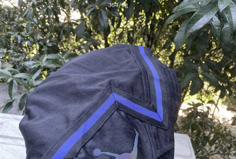 Jordan Purple Shorts 10