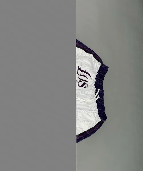 SHORT LA LAKERS NBA 4