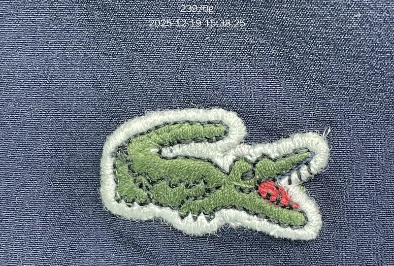 Lacoste Shorts 2