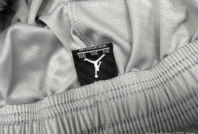 Air Jordan Gray Shorts 2