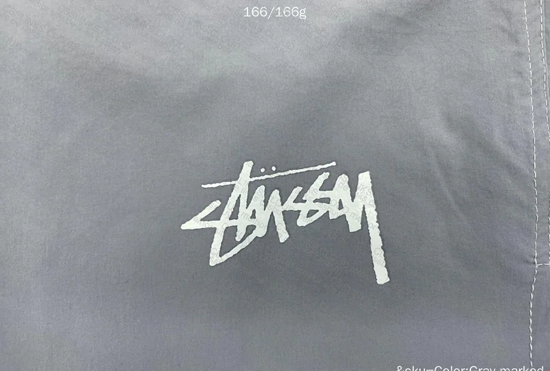 Basic Stussy Shorts 3