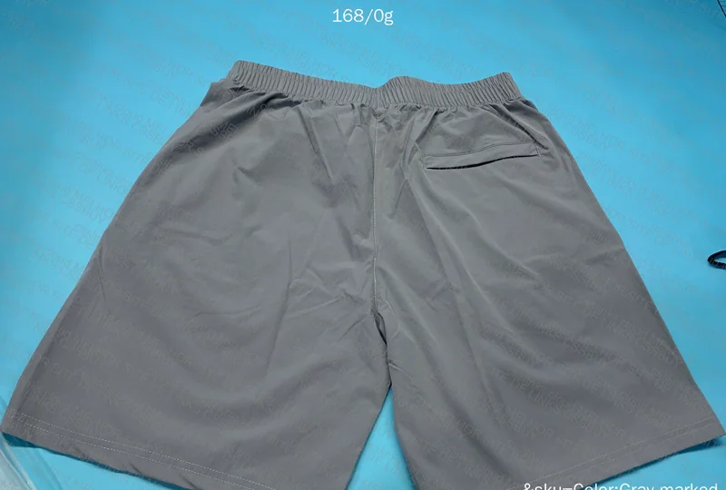Basic Stussy Shorts 2