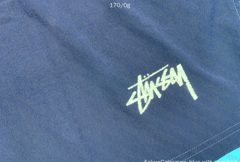Basic Stussy Shorts 4