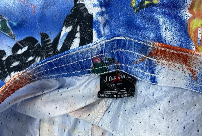 Shorts Jordan 4