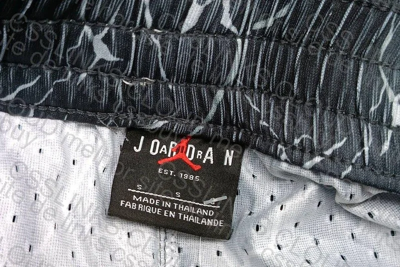 Jordan Shorts for Men 2