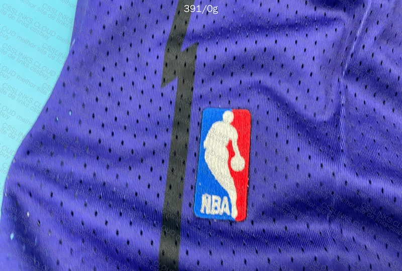 SHORTS NBA RAPTORS 2