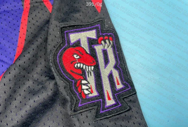 SHORTS NBA RAPTORS 3