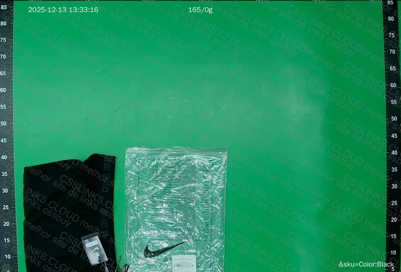 Nike Pro Shorts (Raul Training)