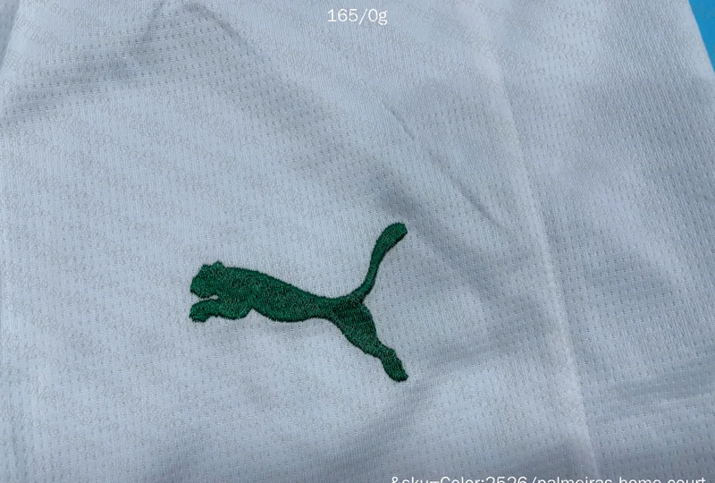 SHORTS PALMEIRAS 2025 5
