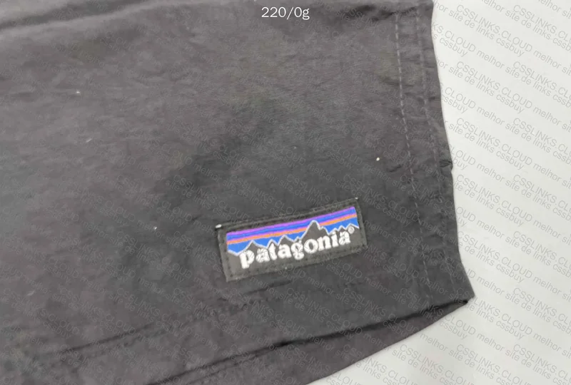 Patagonia Shorts 2