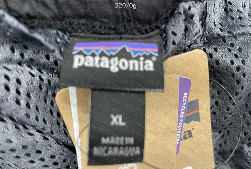 Patagonia Shorts 3