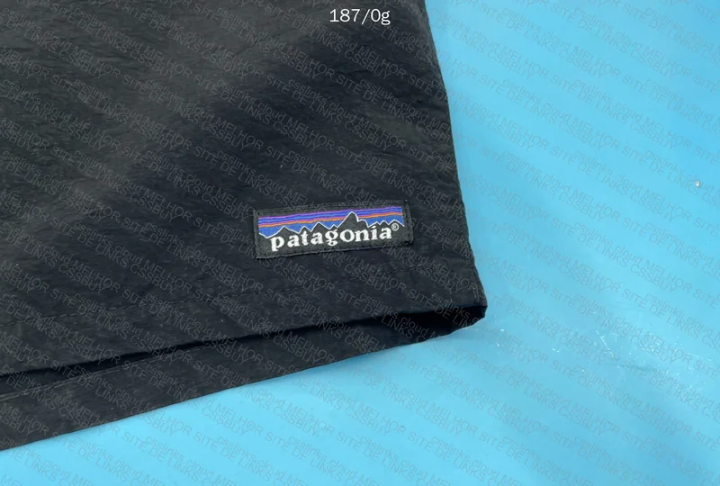 Patagonia Shorts 2