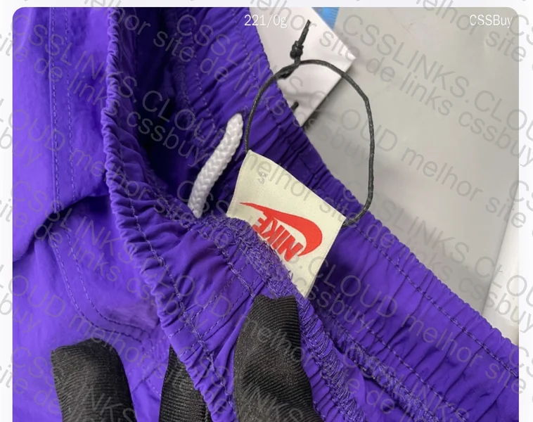 Shorts Stussy 2
