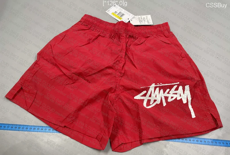 shorts stussy 2