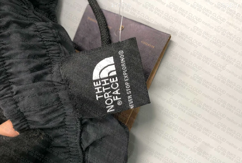 shorts the north face 2
