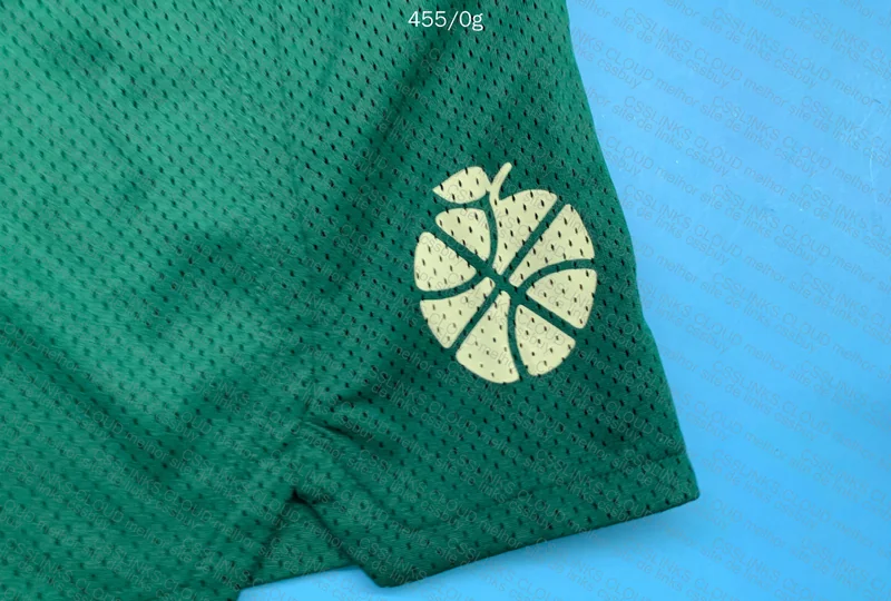 Shorts Tiger Basketball 2