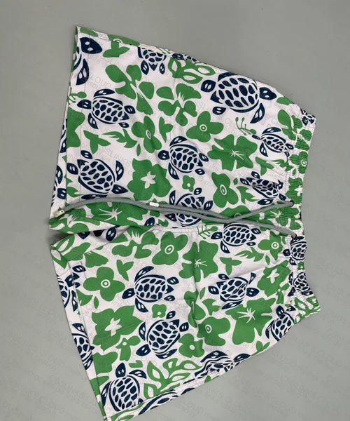 Shorts Vilebrequin 9