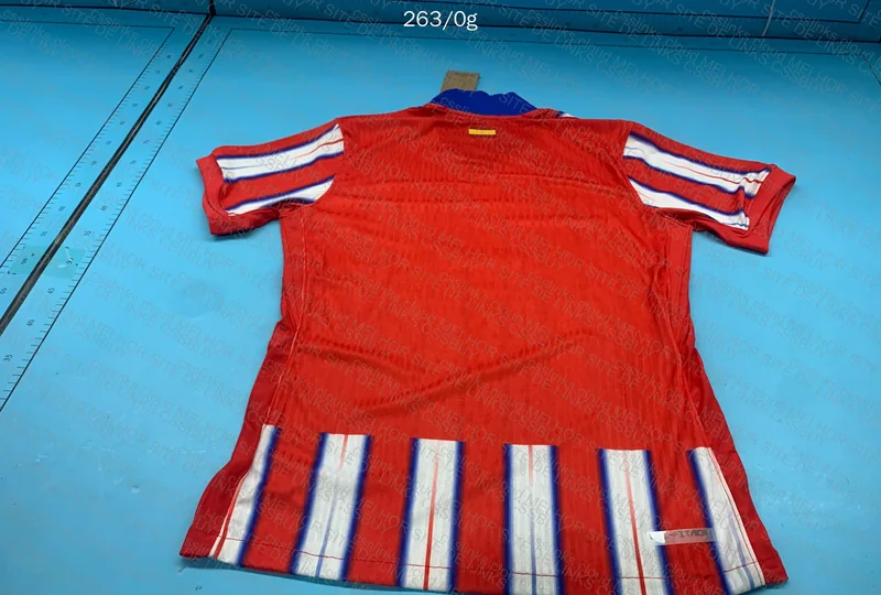 Simply a Shirt Without Shield 3