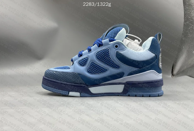 skate Louis Vuitton 6